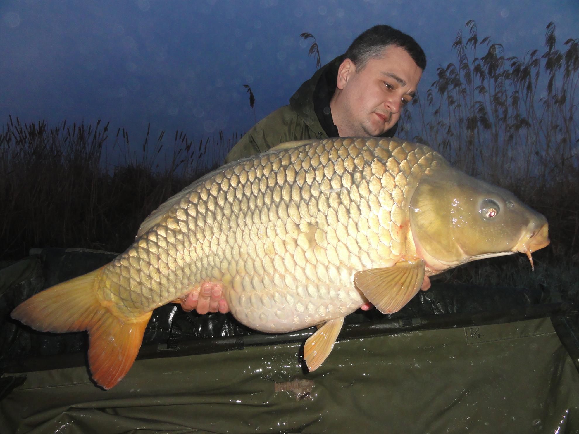 Aprilie 2013 - Harsany Aprilie 2013